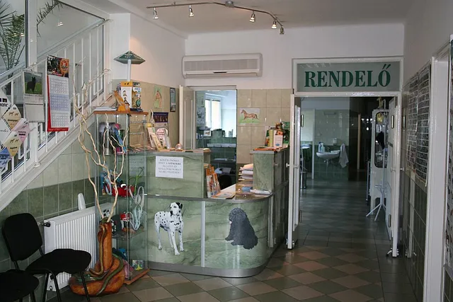 Recepció és váró a rendelőben