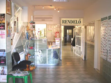 A recepció és a rendelő folyosója